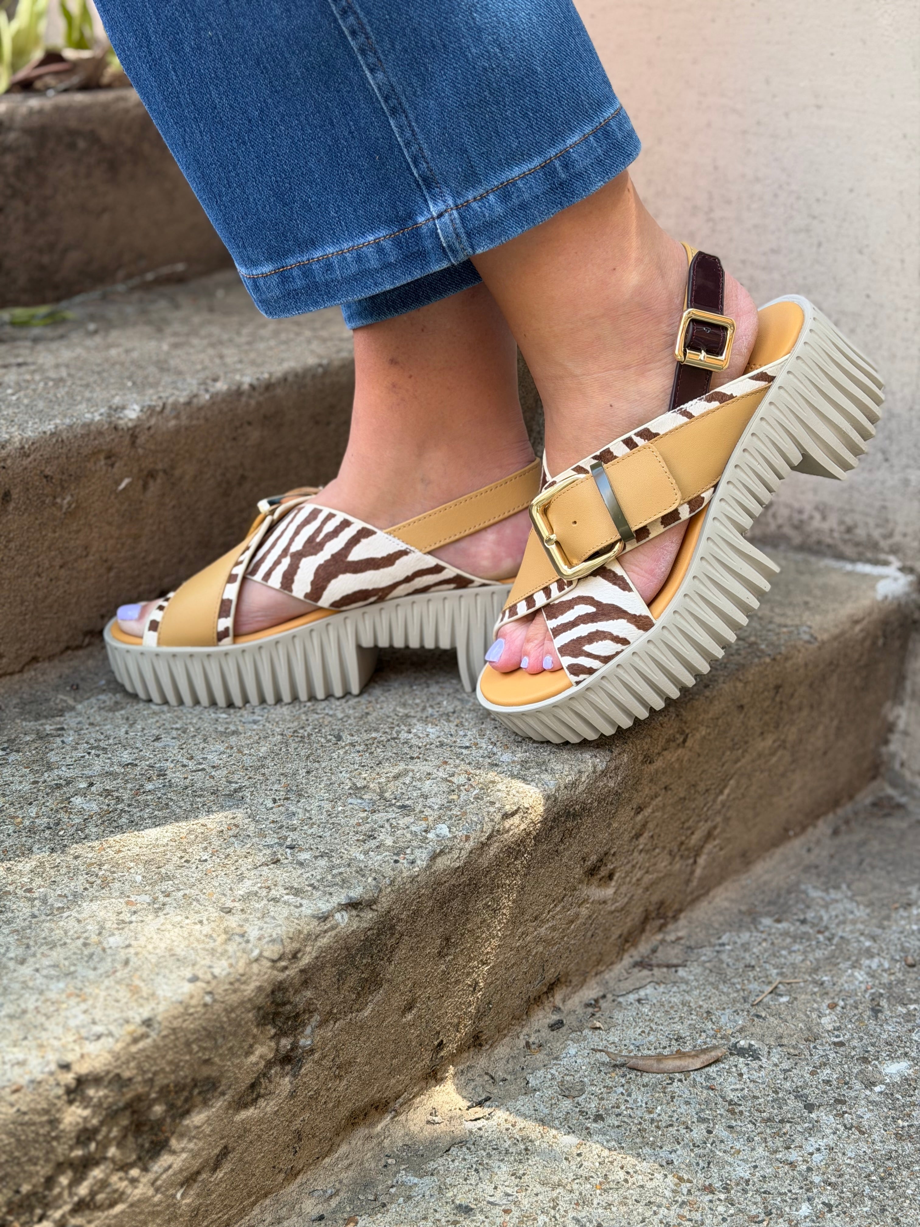 4CCCCEES – Cute & Comfy