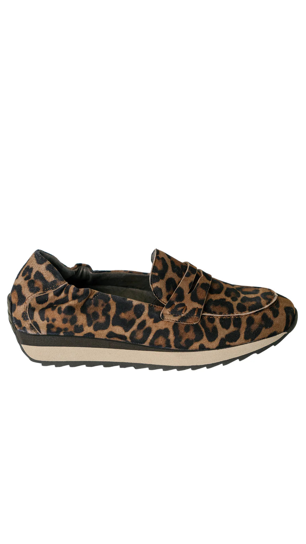 Softwaves 9.32.13 Digna Loafer