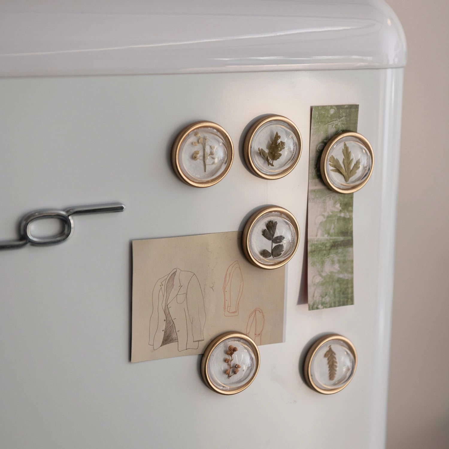 Creative Co-Op Resin Convex Magnets