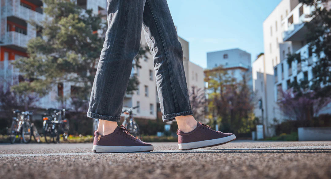 Saola Cannon Knit 2.0 Wool Sneakers